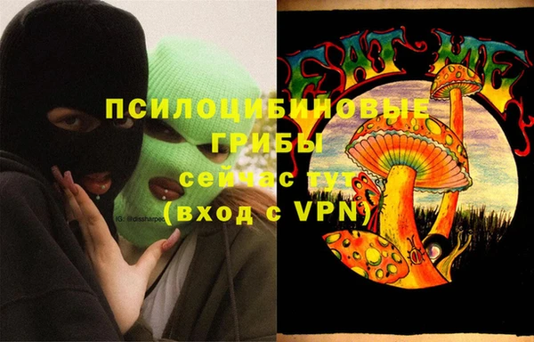 метадон Медвежьегорск