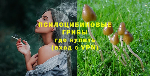 метадон Медвежьегорск