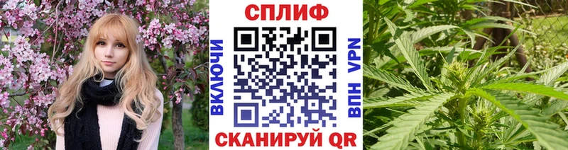 где купить наркотик Жуковка KRAKEN зеркало Канабис White Widow